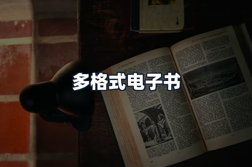 多格式电子书